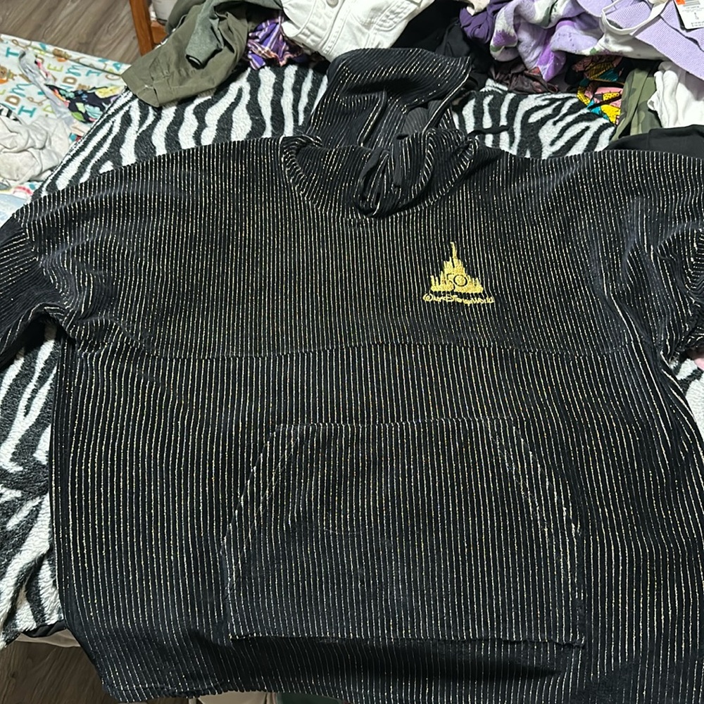 Walt Disney world Spirit jersey